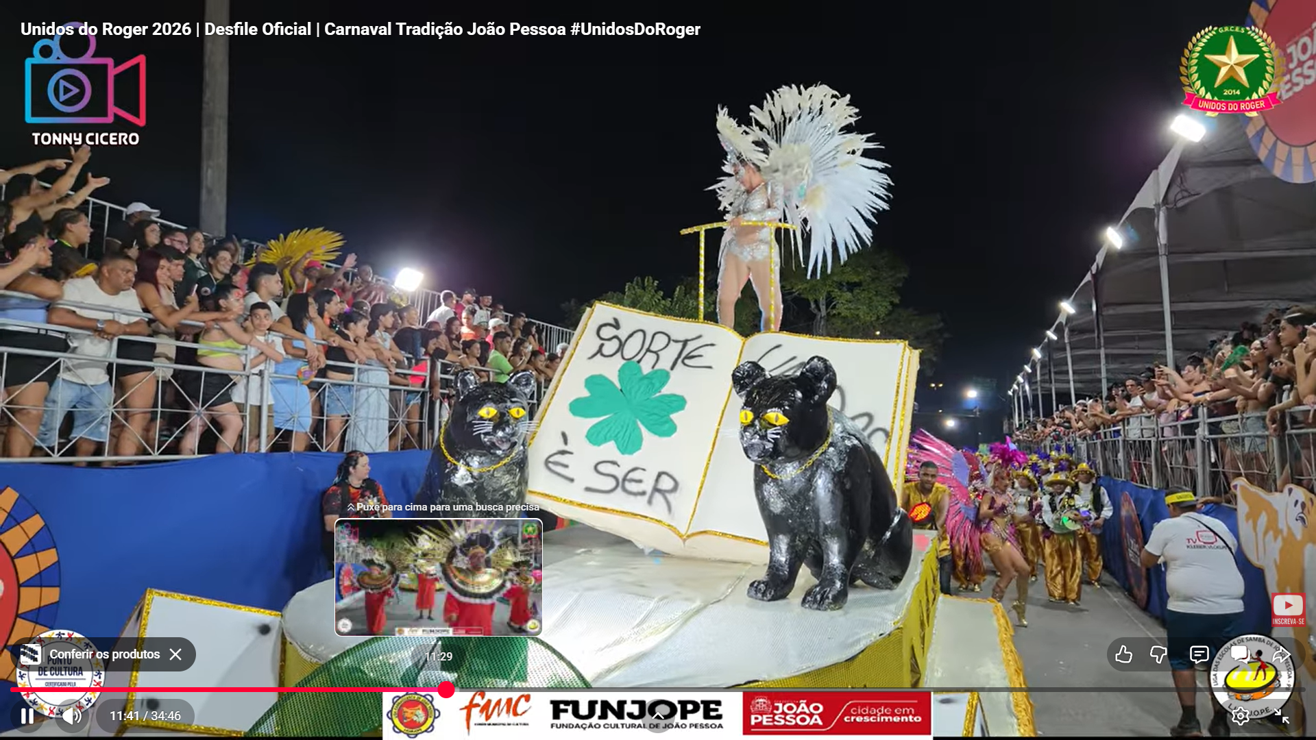 Desfile 3